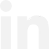 linkedin icon