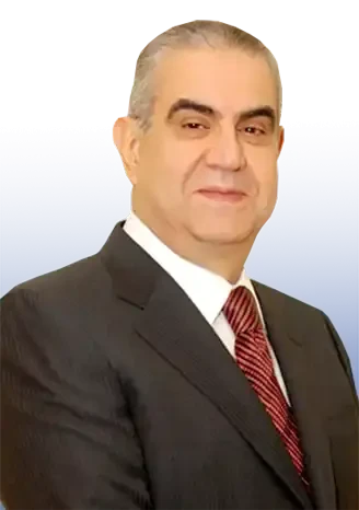 Eng. Magd ElDin ElManzalawi
