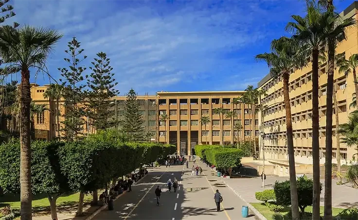 Alexandria University