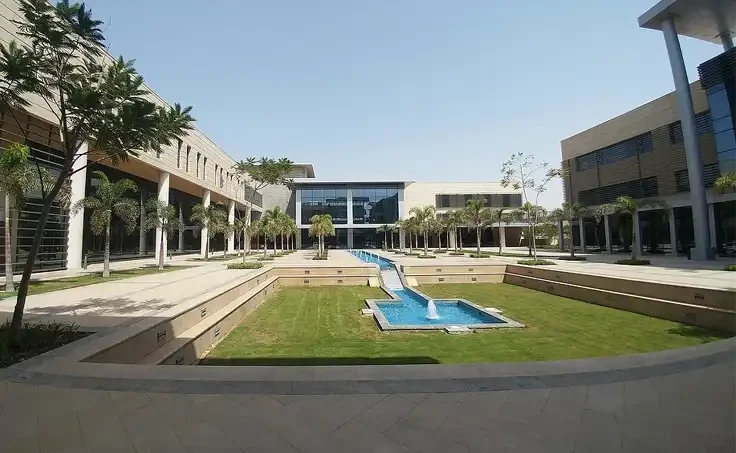 New Giza University (NGU)