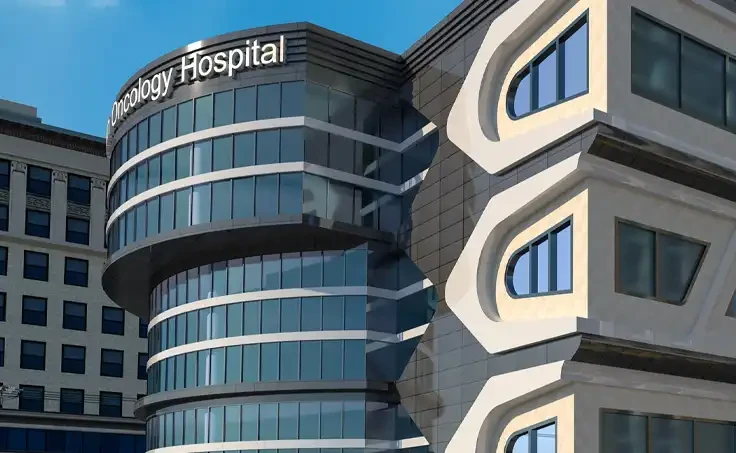 Kafr El-Sheikh Hospital