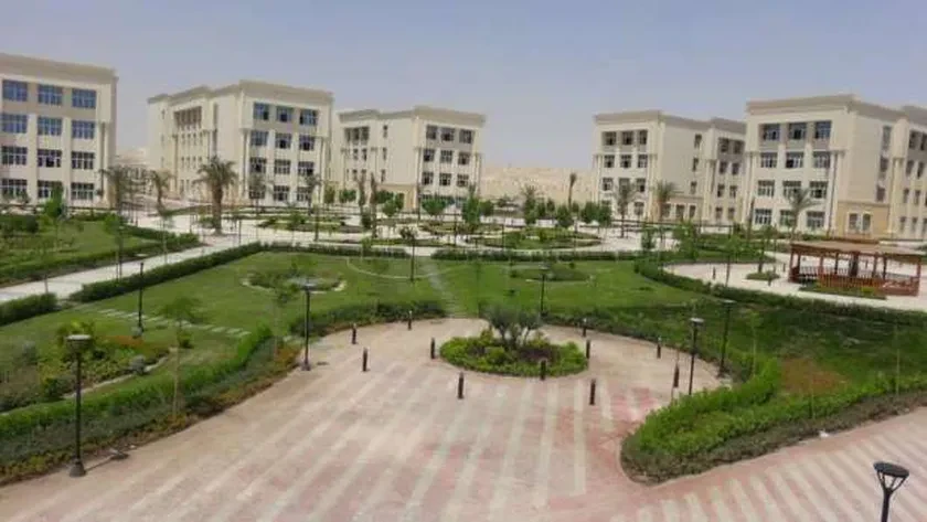 Minia University
